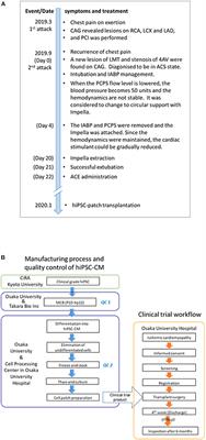 Case report: Transplantation of human induced pluripotent stem cell-derived cardiomyocyte patches for ischemic cardiomyopathy